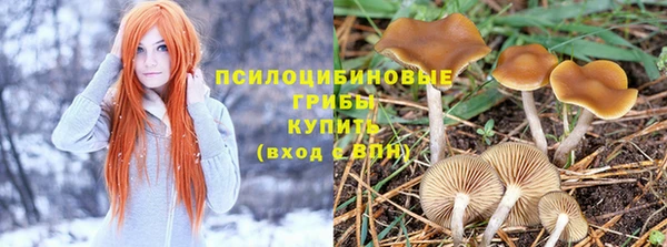 марки nbome Армянск